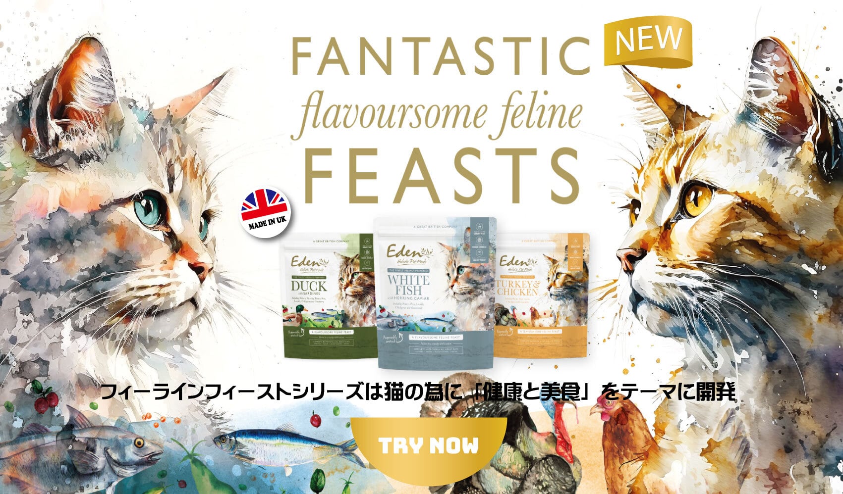 猫用フード　エデン　フィーラインフィースト